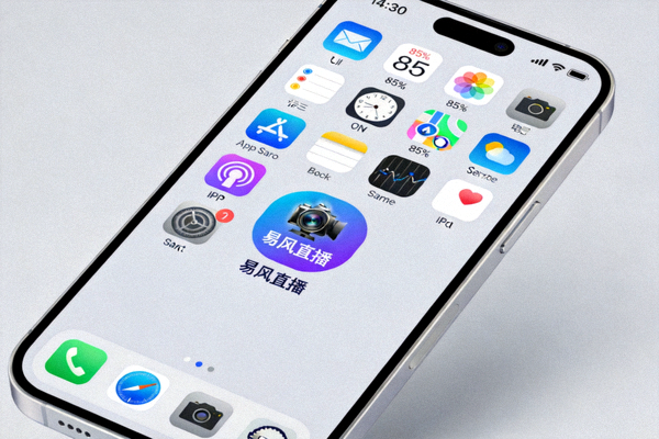 iPhone主屏幕上易风直播App图标已成功安装的界面