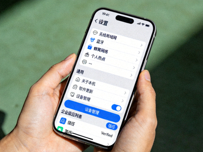 iPhone设置界面截图 - 显示设备管理中的企业级应用信任选项